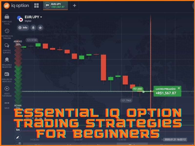 Stratégies de trading de base sur IQ Option pour les nouveaux traders et débutants